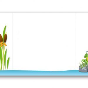 Habillage-boite-à-dragées-thème-grenouille